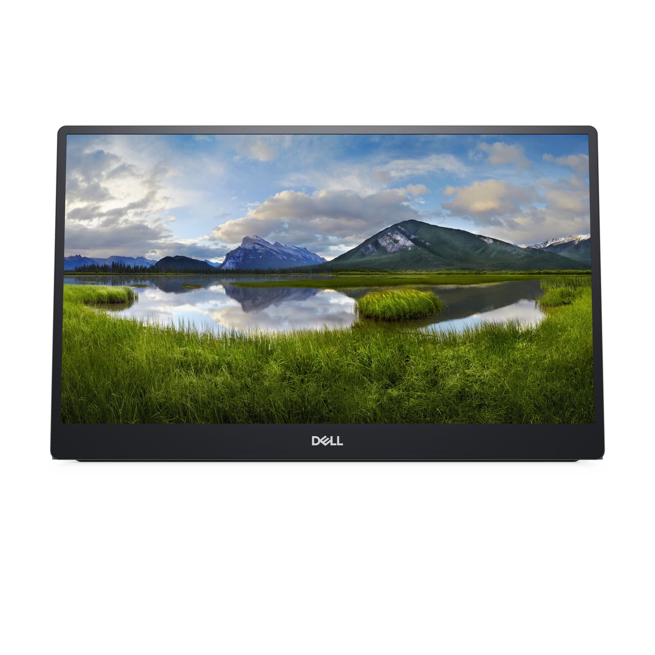 Dell 14 Portable Monitor P1424H