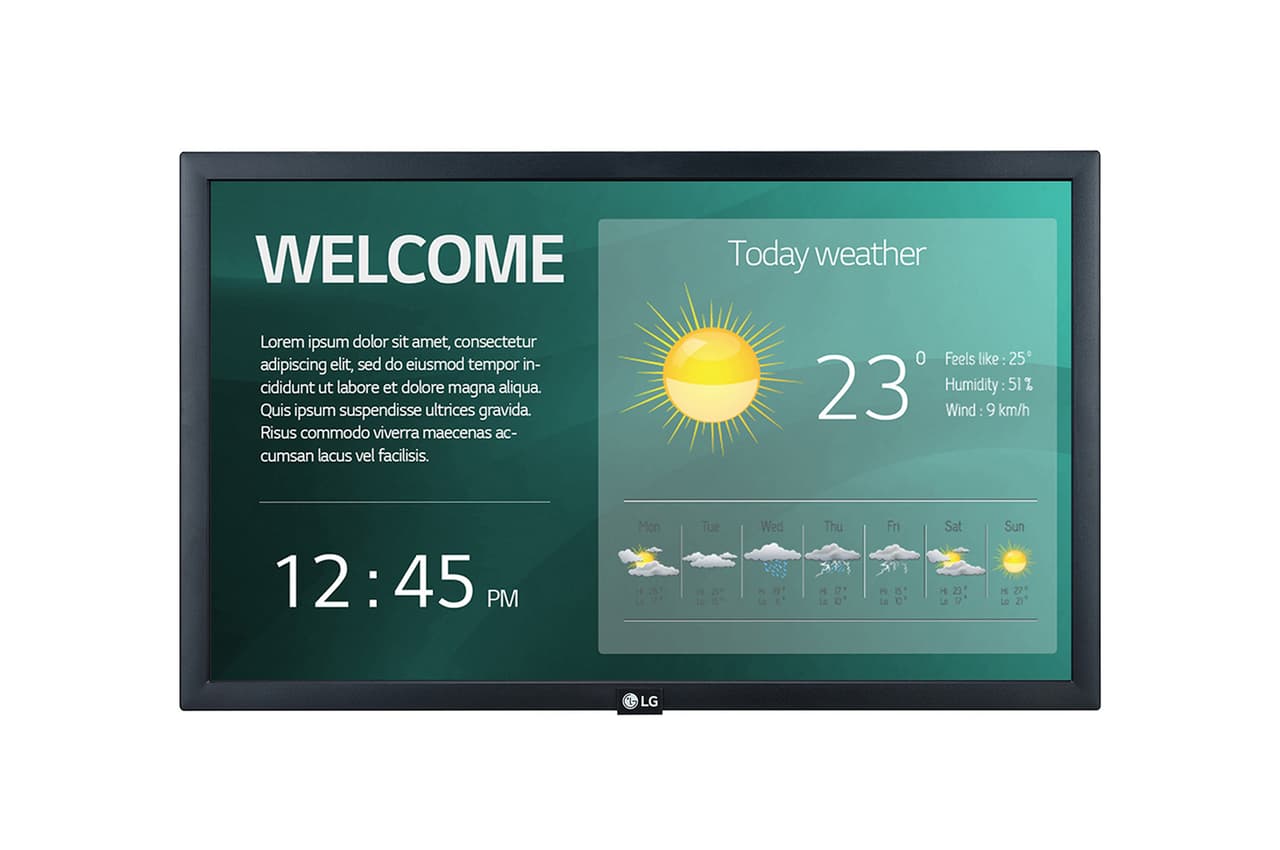 LG 22SM3G 22" display
