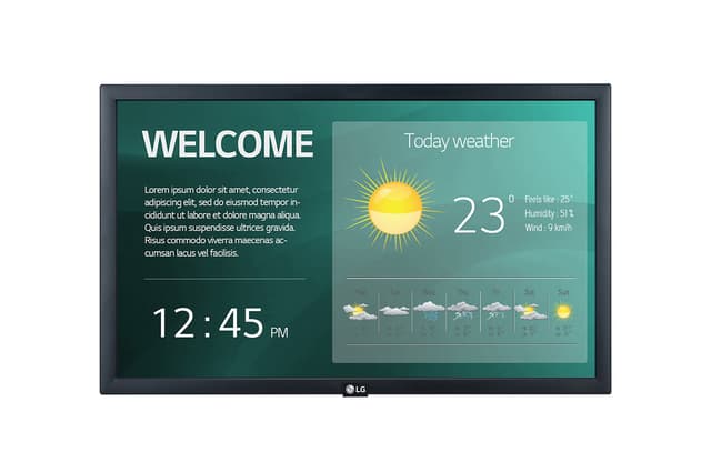LG 22SM3G 22" display