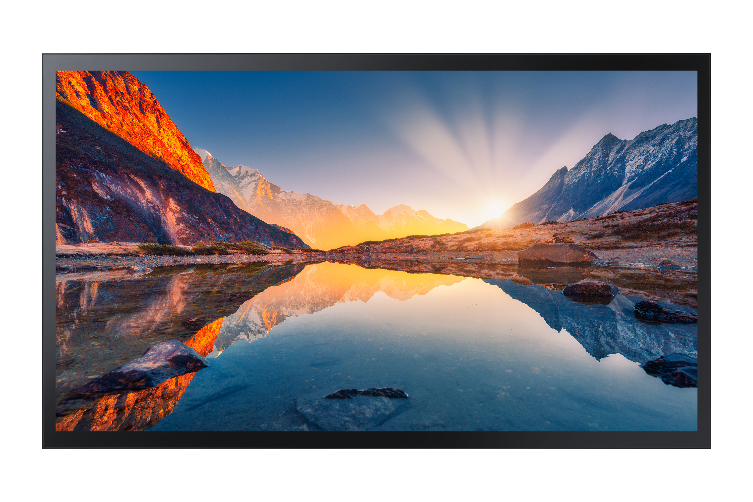 Samsung QM43B-T 43" monitor