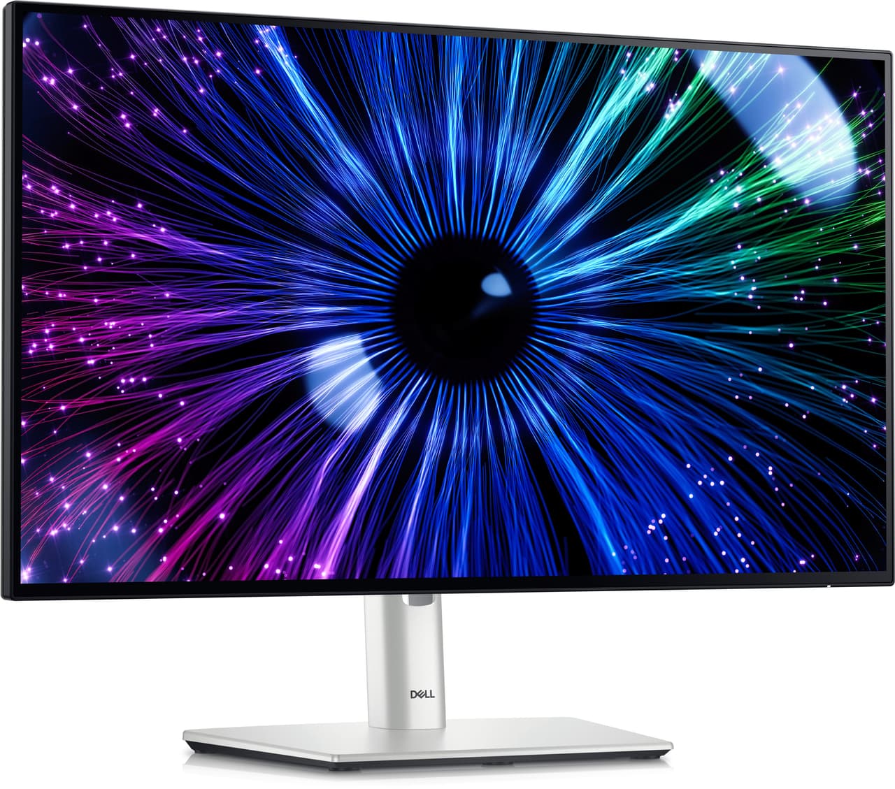 Dell 24 Monitor U2424HE