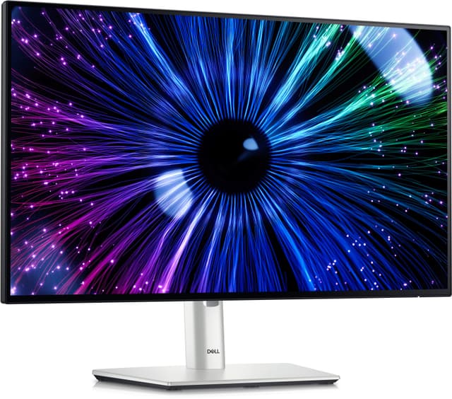 Dell 24 Monitor U2424HE (23.8" Full HD)