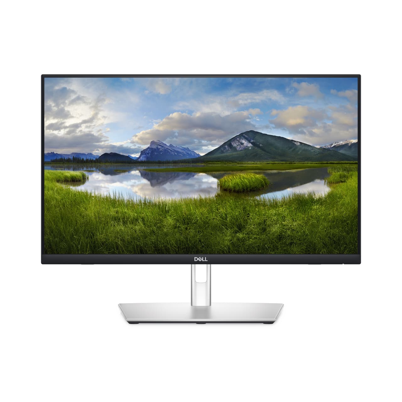 Dell 24 Touch Monitor P2424HT