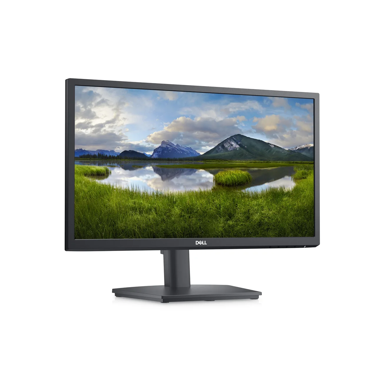 DELL E Series E2222HS computer monitor 54.5 cm (21.4") 1920 x 1080 pixels Full HD LED Black