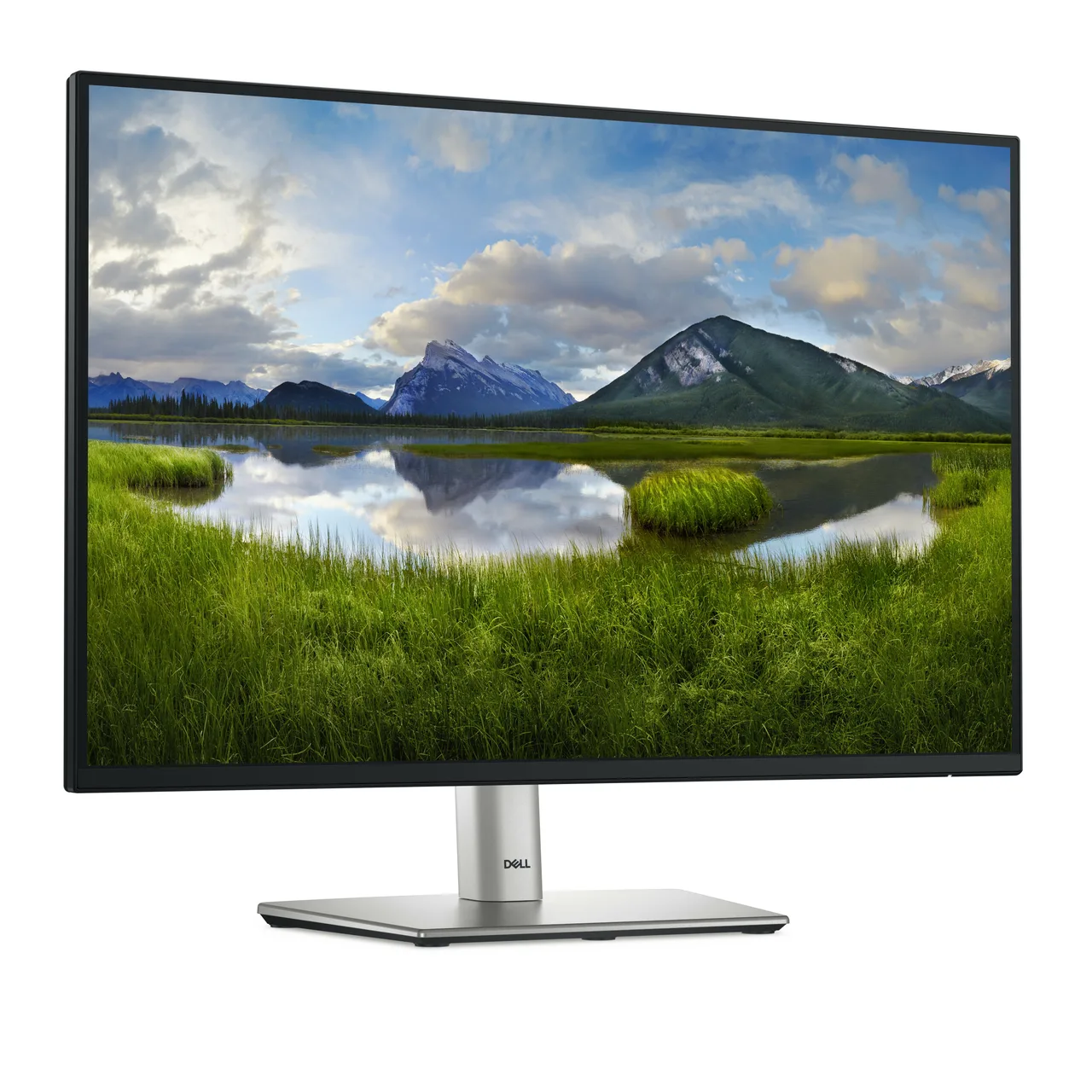 DELL Pro Plus P2425 computer monitor 61.1 cm (24.1") 1920 x 1200 pixels WUXGA LCD Black