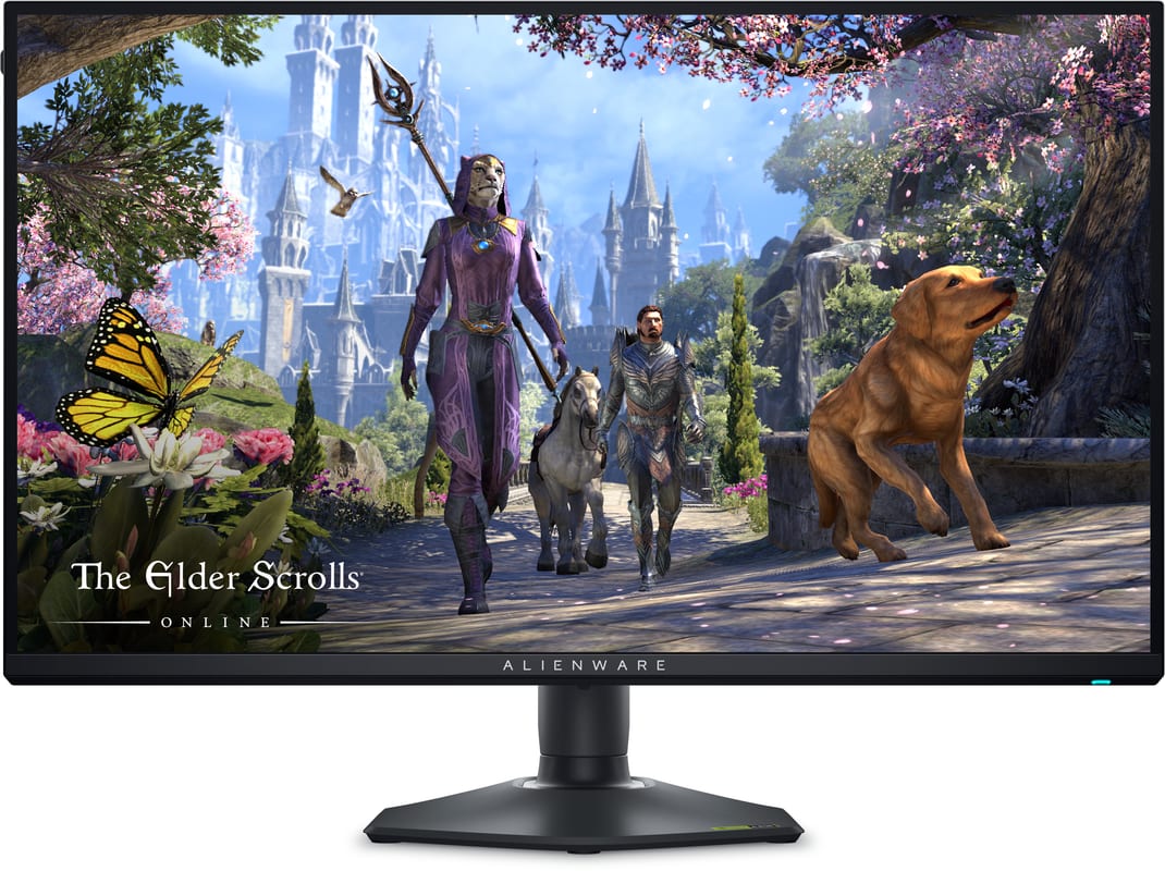 Dell Monitor