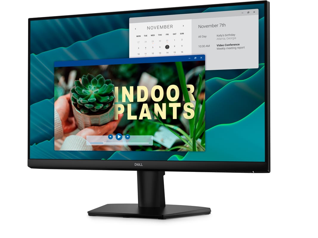 Dell Monitor